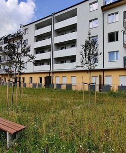 Wrocław. 153 nowe mieszkania na wynajem. Powstały na Brochowie