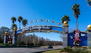 Najdroższe płatki świata? "W Disneyu smakuje lepiej". W sieci rozpętała się burza