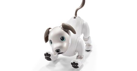 Elektroniczny piesek Sony Aibo w nowej odsłonie
