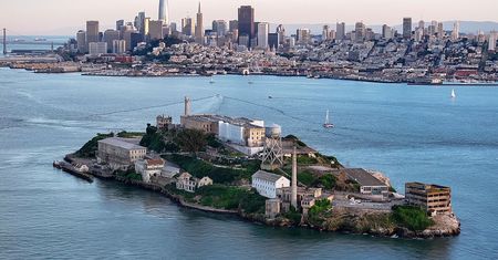 Odkrycie na Alcatraz. Biolodzy byli zdumieni