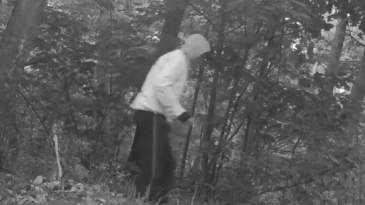 Mężczyzna toczący kłodę