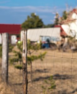 Nawet 100 tys. na budowę płotu. Ostatnia szansa na złożenie wniosku