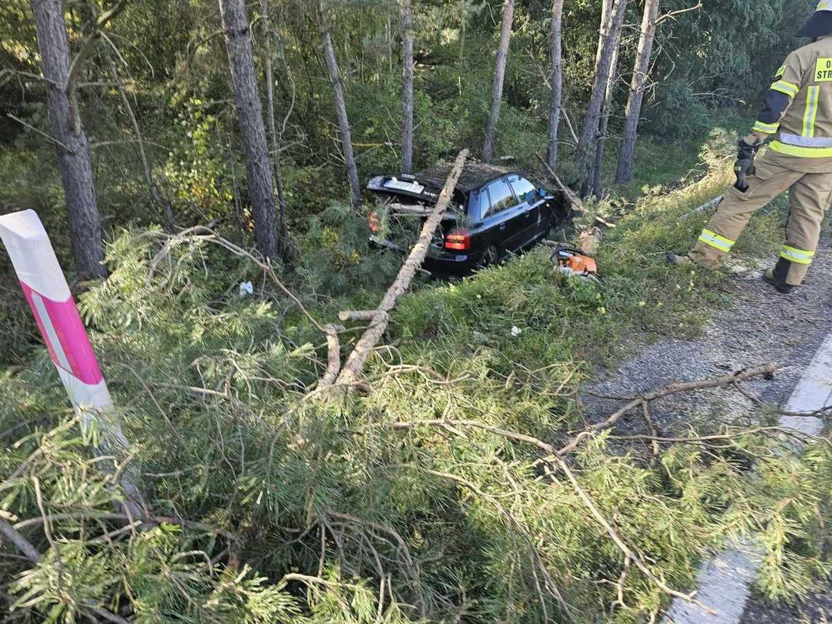 Niebezpieczny finał interwencji. Ranna ratowniczka medyczna