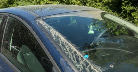 Do Polski nadciąga fala pyłu saharyjskiego. Samochody pokryje żółty nalot