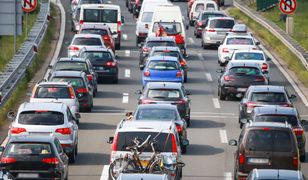 Holendrzy twierdzą, że kolor auta świadczy o IQ. Trzy barwy najgorsze