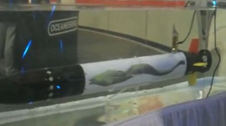 Torpeda do polowania na nurków (wideo) 1