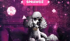 Pudelek VIP jest wygaszany. Zmiana strategii