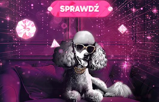 Pudelek VIP jest wygaszany. Zmiana strategii