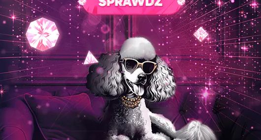 Pudelek VIP jest wygaszany. Zmiana strategii