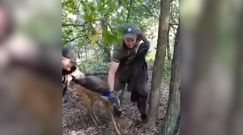 Leśnicy z Lubartowa uratowali przestraszone zwierzę