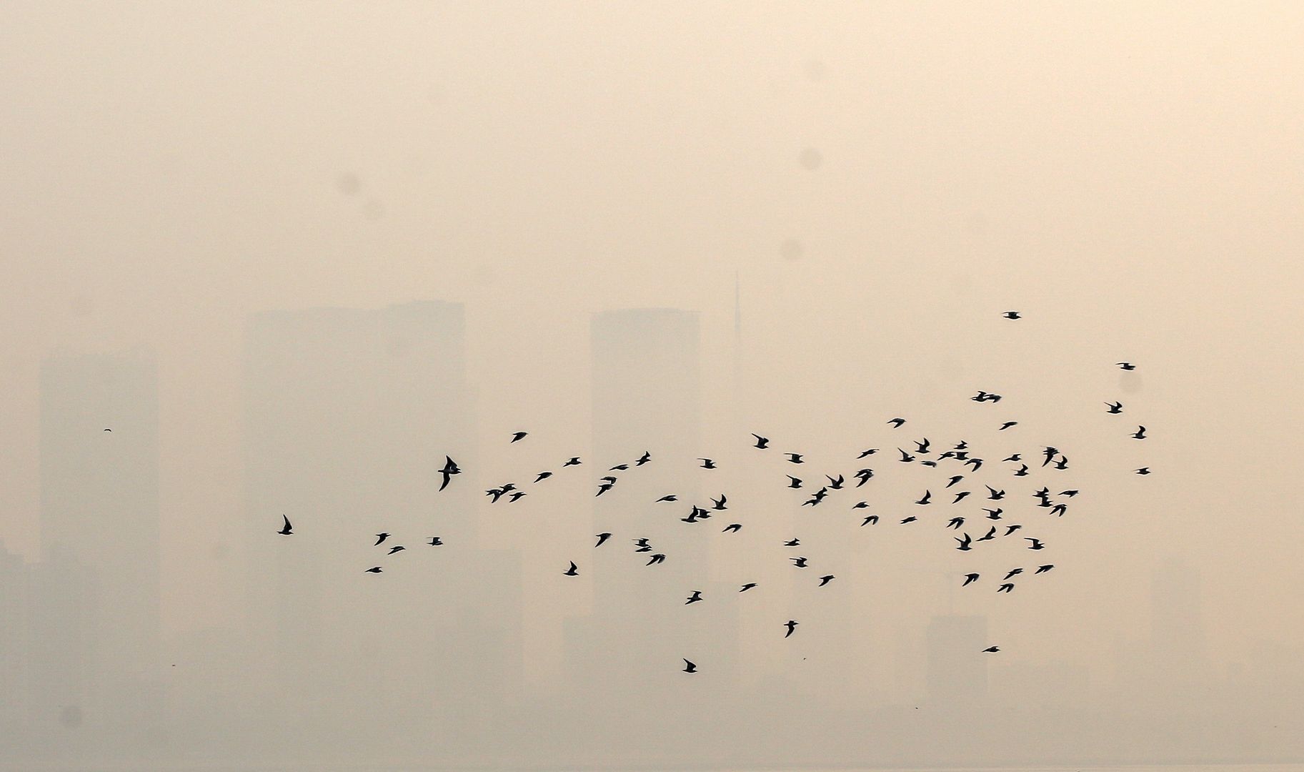 Wrocław. Smog atakuje. Zła jakość powietrza w mieście