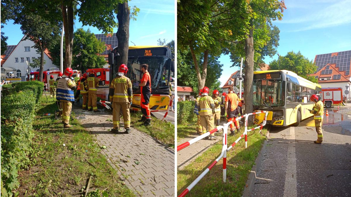 O krok od tragedii w Mysłowicach. Kierowca zasłabł i uderzył w drzewo