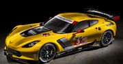 Chevrolet Corvette Stingray C7.R (2014)