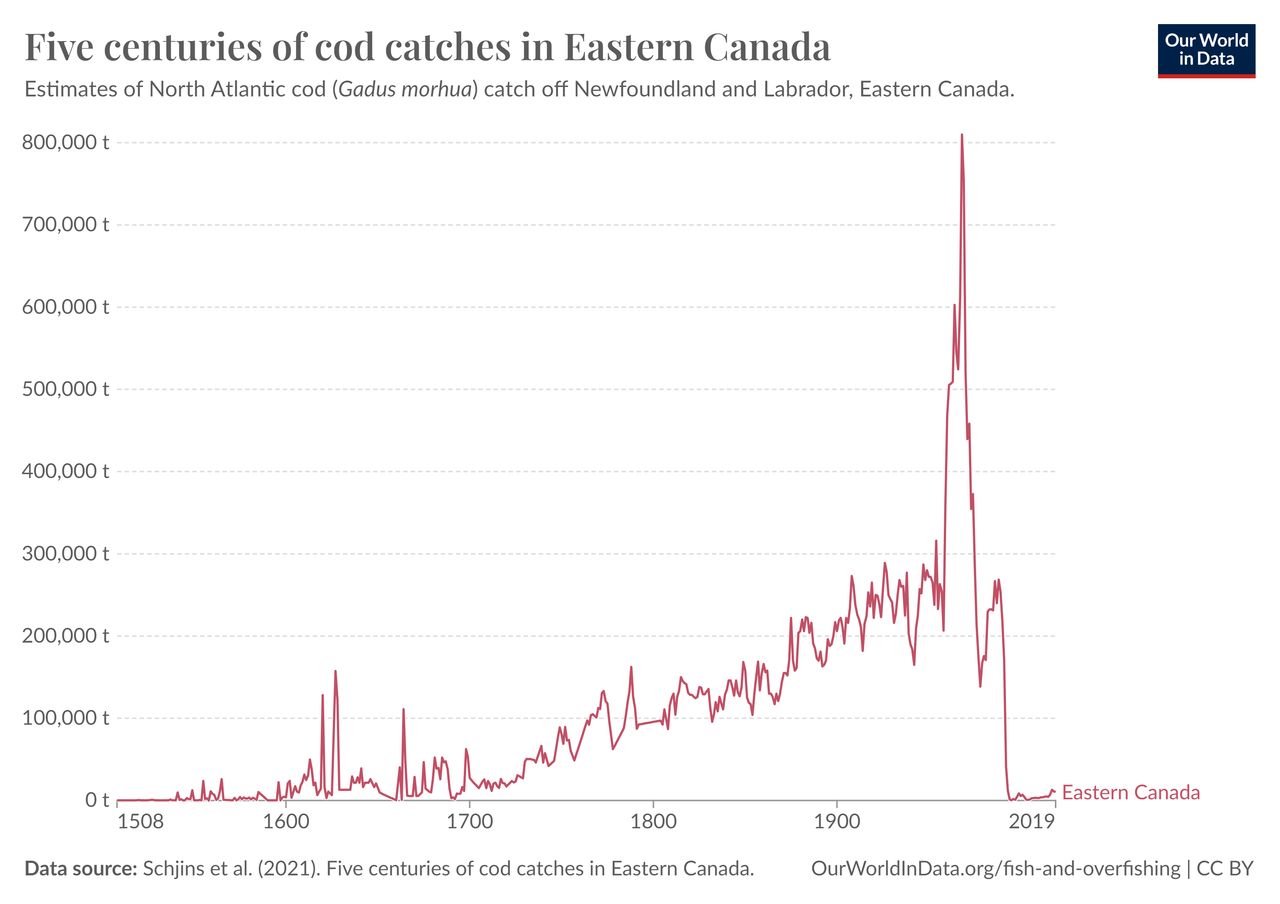 Ilość połowów dorsza (w tonach) na wschodzie Kanady w ciągu setek lat