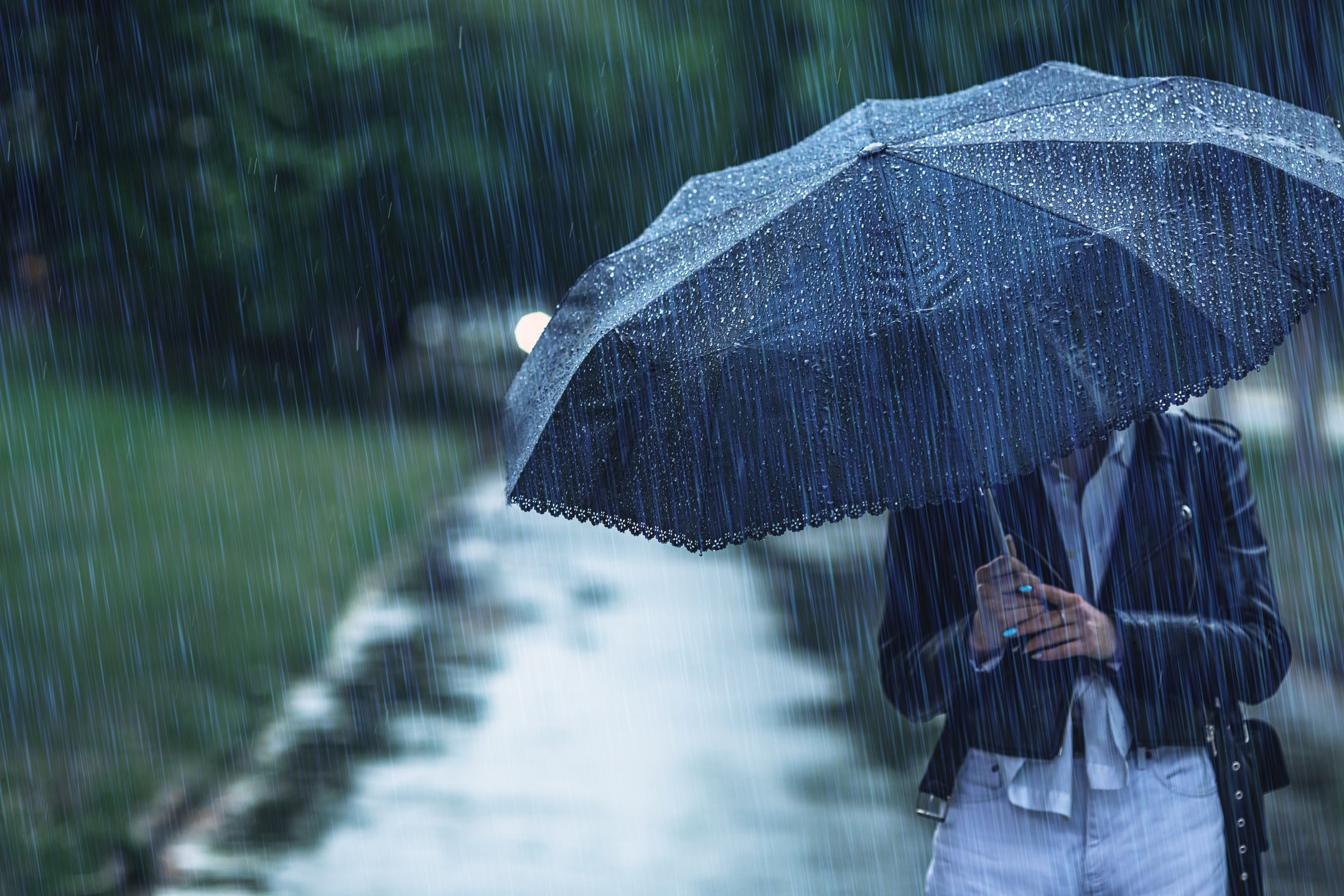 Summer rain. Raindrops. Bad weather. Depression.
Rainy weather
iiievgeniy