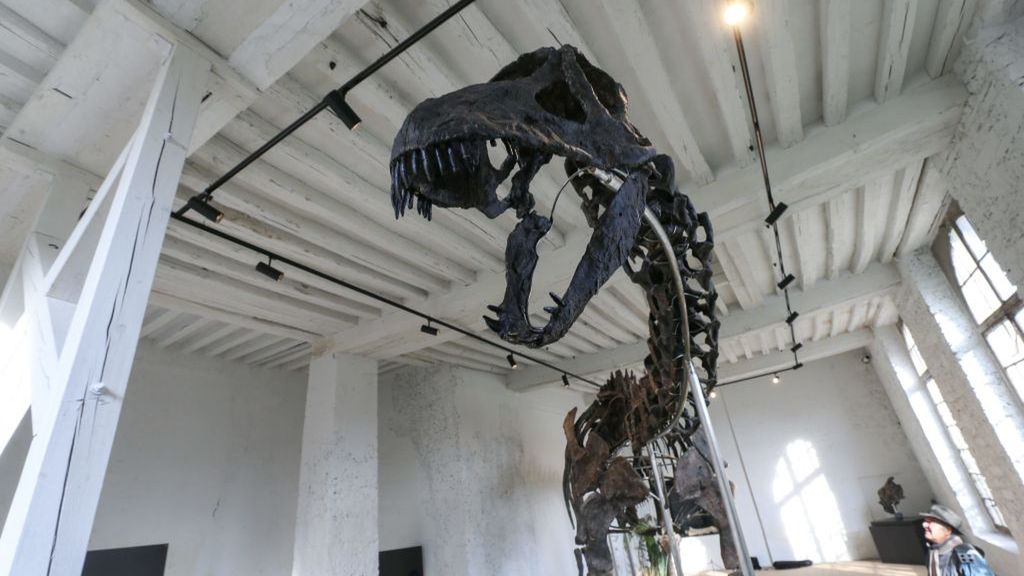 Sprzedany na aukcji dinozaur