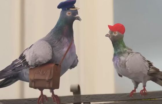Gołębie reklamują Kredyt Pocztowy w Banku Pocztowym (wideo)