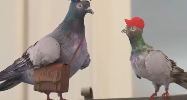 Gołębie reklamują Kredyt Pocztowy w Banku Pocztowym (wideo)