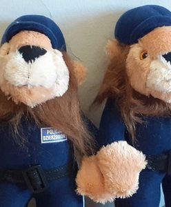 Dolny Śląsk. Dzielne dziewczynki w akcji. Nie były obojętne widząc pobicie i kradzież