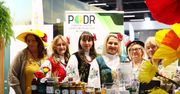 Tłumy na targach w Kielcach. Dom, Ogród i Ty, Expo2bee, Agro&Active i Slowtravel przyciągnęły odwiedzających. Zobacz zdjęcia