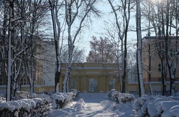 Pogoda w Białymstoku. Prognoza na wtorek 10 lutego. Silny mróz rano i słaby śnieg po południu