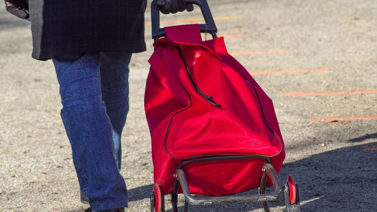 wózek na zakupy torba na zakupy