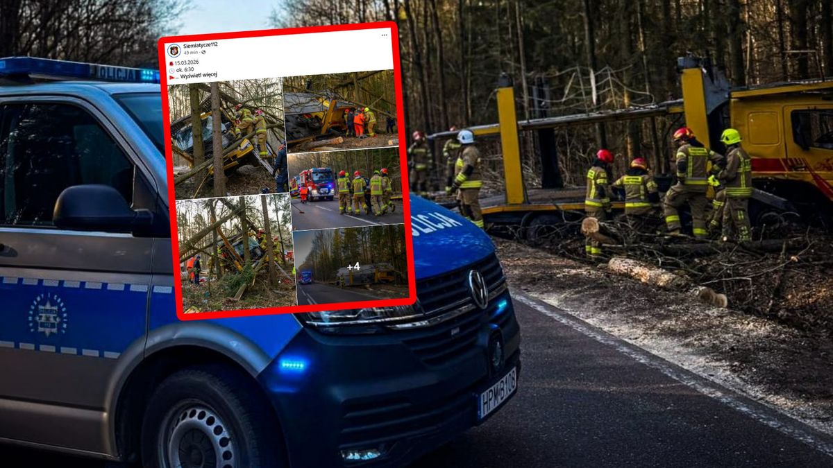 Groźne zdarzenie w pobliżu miejscowości Dziadkowice.