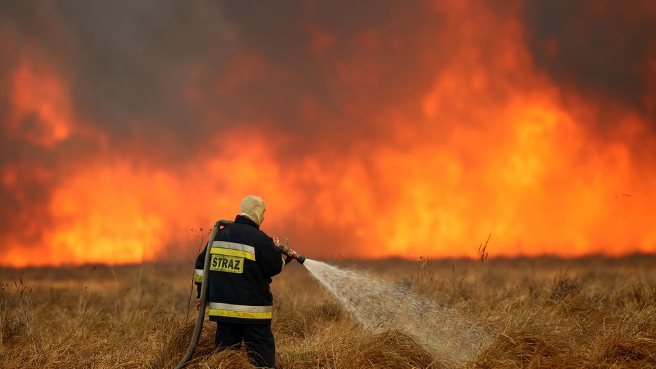 Pożar Biebrzańskiego Parku Narodowego. 