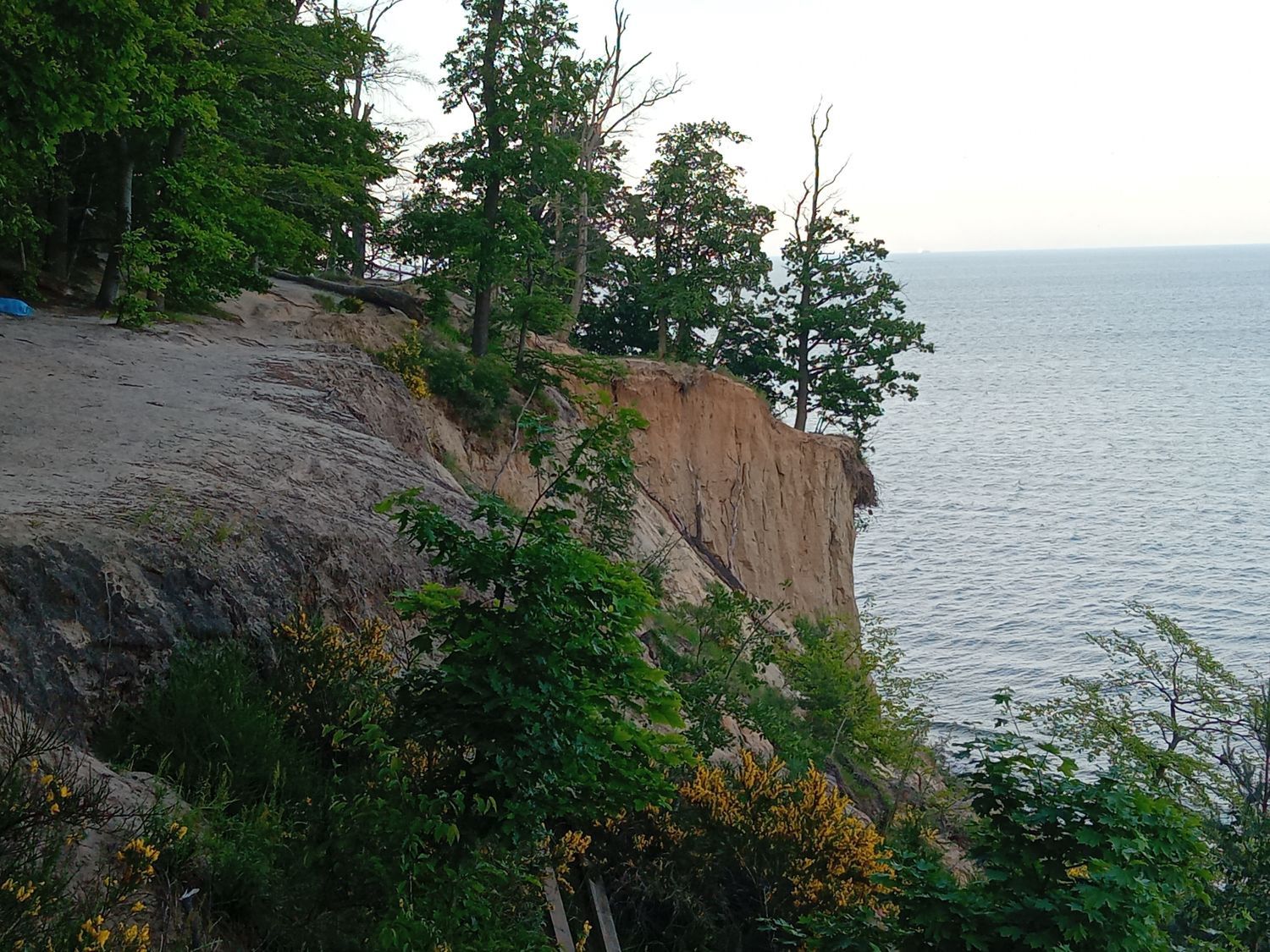Klif Gdynia, Orłowo
