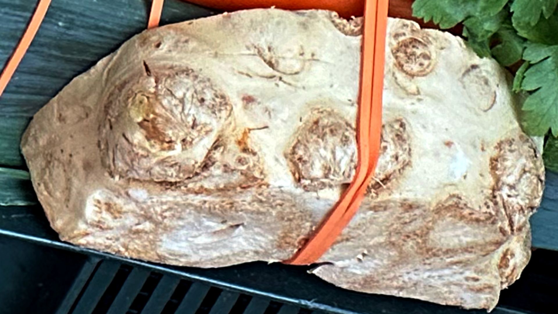 Seler, choć nie wygląda to skrywa w sobie imponujący zestaw składników odżywczych. 