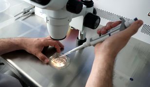 Wygaszają program in vitro. To pierwsze miasto w Polsce. Będą kolejne?