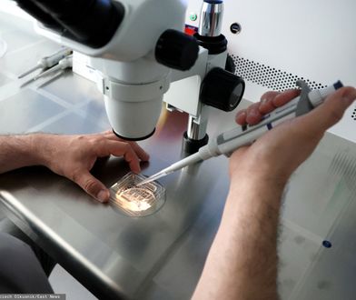 Wygaszają program in vitro. To pierwsze miasto w Polsce. Będą kolejne?