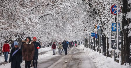 Tak będzie wyglądać nadchodząca zima. Nie zabraknie silnego mrozu