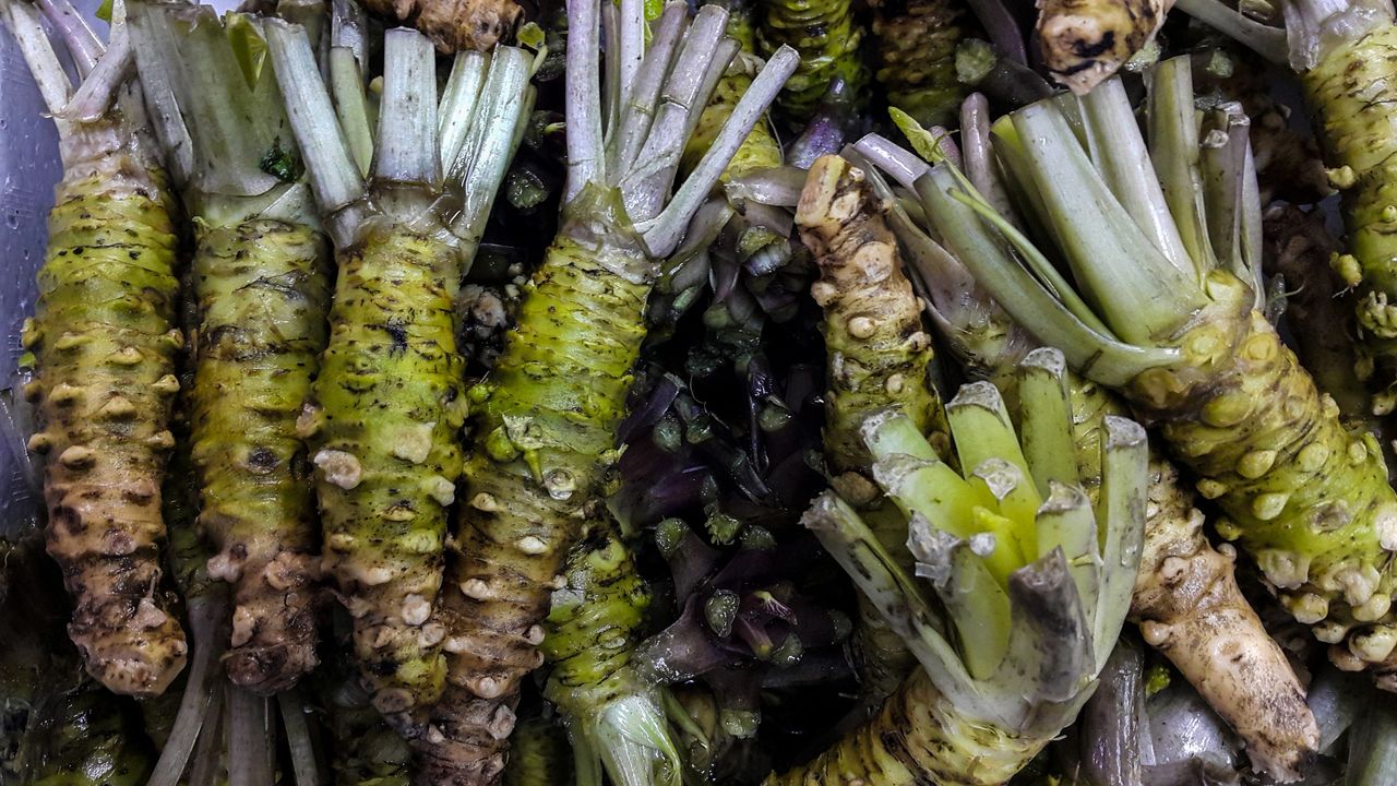 Jedna z najdroższych roślin świata rośnie w Polsce. 1,5 tys. za kilogram