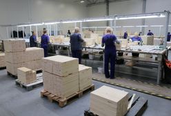 Polska firma meblarska na krawędzi. Będą zwolnienia grupowe