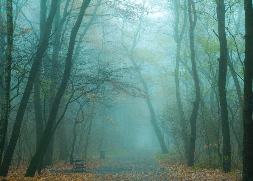 Konkurs fotograficzny „Metamorfozy Łodzi w czterech porach roku” Na Targach Film Video Foto 2016 3