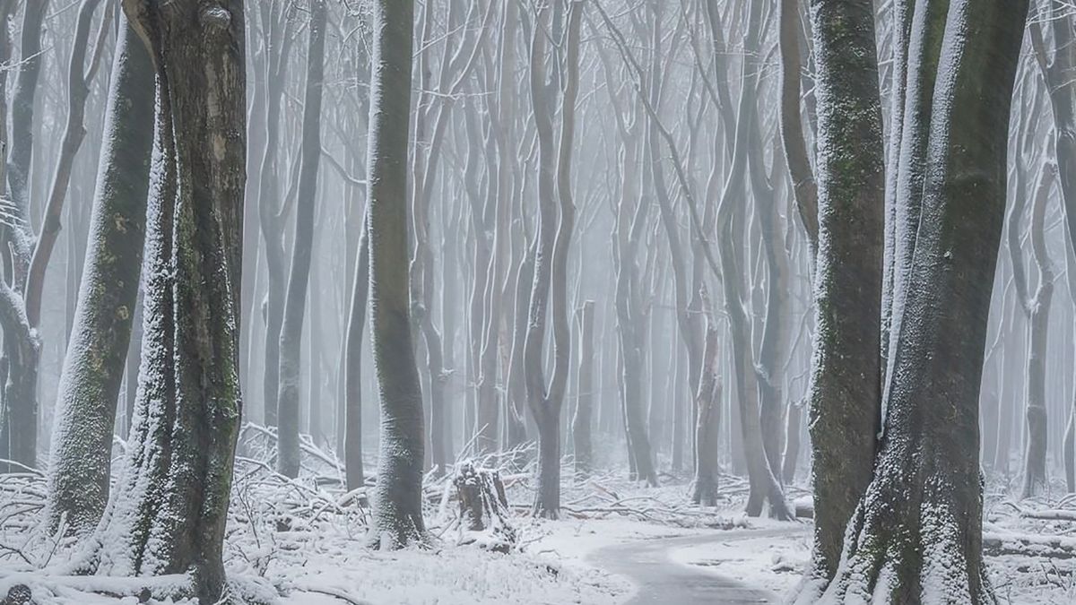 Zima w kwietniu? Jasne, wszystko jest możliwe! 1