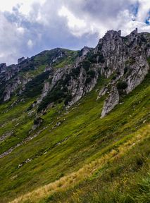 The species that returned to Romania after 200 years and will occupy all the Carpathian Mountains. It was hunted to extinction