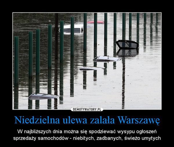 "Nie róbmy polityki, dmuchajmy pontony". Najlepsze memy o zalanej Warszawie 6