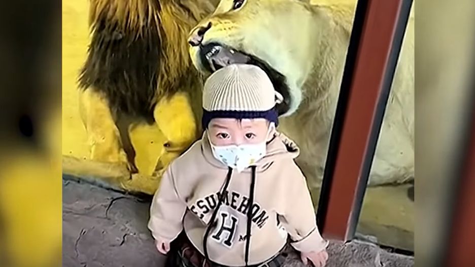 Poszli do ZOO. Chcieli się pozbyć dziecka