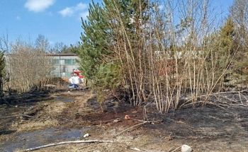 50-latek zginął w ogniu. Wypalał trawy