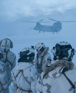 Rośnie napięcie wokół Grenlandii. Francja rozważa wysłanie wojska