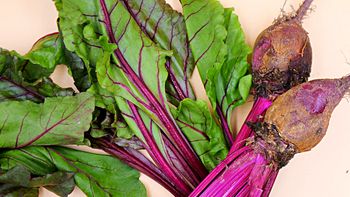 Wiosenny hit na talerzu. Botwinka wspiera krew, jelita i nawodnienie organizmu