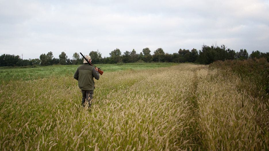 Badania miałyby być obowiązkowe dla wszystkich posiadaczy broni