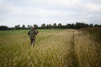 Badania nie tylko dla myśliwych. Nowa ustawa trafi do Sejmu