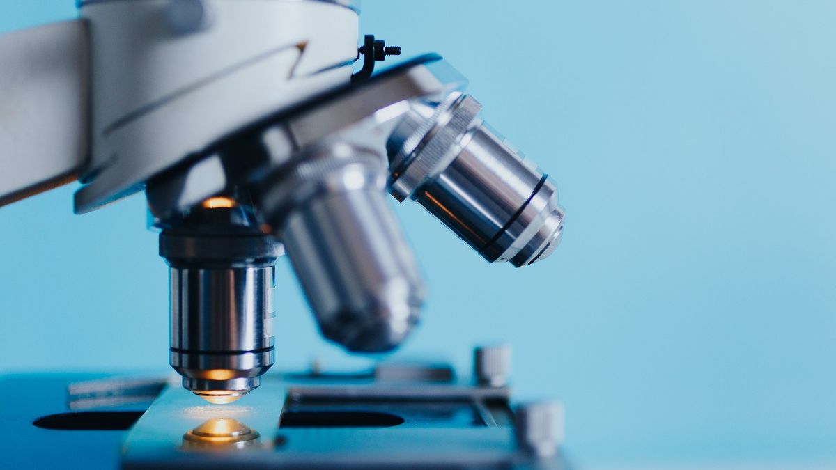 Robert Neyman został ponownie powołany na prezesa Biotonu. 