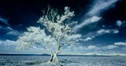 "Harmonia życia" - podróż dookoła świata w ciekawym połączeniu filmu i time-lapse