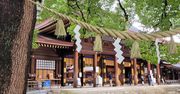 Afera w Japonii. Turysta aresztowany za zbezczeszczenie świątyni