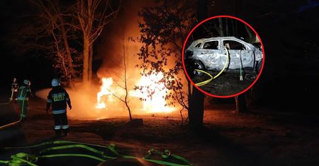 Trudno uwierzyć, jak długo gasili ten samochód elektryczny