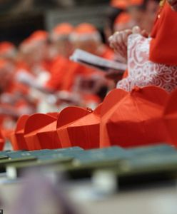 Kto zostanie nowym papieżem? "Będzie musiał liczyć się ze zmianami" [OPINIA]